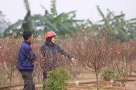 (Ảnh minh hoạ: PV/Vietnam+)