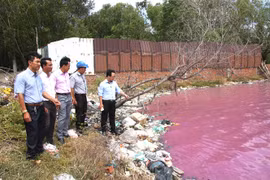 Bà Rịa-Vũng Tàu: Hiện tượng hồ nước đổi màu do tảo nở hoa 