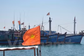 Tàu cá của ngư dân Lý Sơn. (Ảnh: Thùy Giang/Vietnam+)