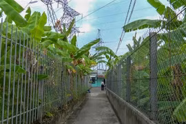 Lối vào nhà một hộ dân ở khu vực 6, phường Trà Nóc, quận Bình Thủy, thành phố, Cần Thơ, phía trên là đường dây trung thế 66 kV. (Ảnh: Thanh Liêm/TTXVN)