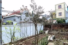 Một số cây trồng trong nhà người dân gần khu vực Công ty cổ phần thương mại Toan Vân bị cháy lá do rò rỉ khí Amoniac. (Ảnh: Thế Duyệt/TTXVN)