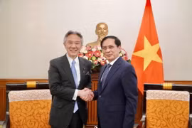 Bộ trưởng Ngoại giao Bùi Thanh Sơn tiếp Bộ trưởng Bộ Giáo dục, Văn hóa, Thể thao, Khoa học và Công nghệ Nhật Bản Moriyama Masahito. (Ảnh: TTXVN phát)