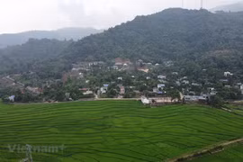Ảnh minh họa. (Nguồn: Hùng Võ/Vietnam+)