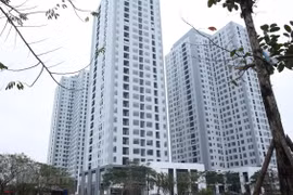 Ảnh minh họa. (Nguồn: Hùng Võ/Vietnam+)