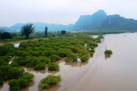 Ảnh minh họa. (Nguồn: Hùng Võ/Vietnam+)