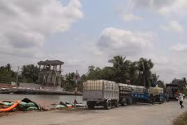 Nông dân đến lấy nước tưới cây tại vùng chuyên canh sầu riêng của xã Long Khánh, thị xã Cai Lậy, Tiền Giang. (Ảnh: Minh Trí/TTXVN)