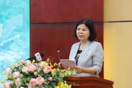 Bà Nguyễn Hương Giang. (Nguồn: TTXVN)