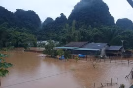 Nhiều nhà dân ở ven suối tại thị trấn Trà Lĩnh, huyện Trùng Khánh, tỉnh Cao Bằng bị ngập lụt. (Ảnh: TTXVN phát)