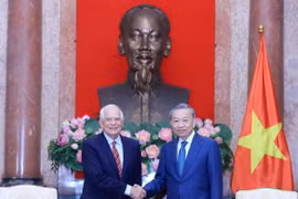 Chủ tịch nước Tô Lâm tiếp Phó Chủ tịch Ủy ban châu Âu (EC), Đại diện cấp cao Liên minh châu Âu (EU) về Chính sách đối ngoại và An ninh Josep Borrell Fontelles. (Ảnh: Lâm Khánh/TTXVN)