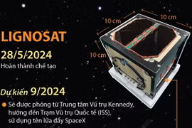 Khám phá LignoSat - vệ tinh bằng gỗ đầu tiên trên thế giới.
