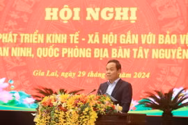 Phó Thủ tướng Chính phủ Trần Lưu Quang phát biểu khai mạc hội nghị. (Ảnh: Quang Thái/TTXVN)