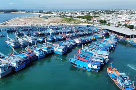Đội tàu cá khai thác xa bờ cập cảng cá Mỹ Tân ở xã Thanh Hải, Ninh Hải, Ninh Thuận. (Ảnh: Nguyễn Thành/TTXVN)