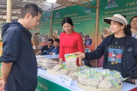 Sản phẩm của một làng nghề ở Hà Nội. (Ảnh: Phương Anh/TTXVN)