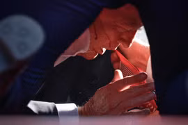 Ông Trump bị thương ở tai phải. (Nguồn: Getty Images)