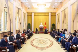 Chủ tịch nước Tô Lâm tiếp Đại sứ các nước ASEAN. (Ảnh: Nhan Sáng/TTXVN)