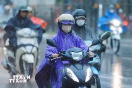Ảnh minh họa. (Nguồn: TTXVN)