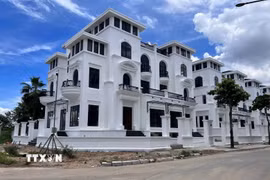 (Ảnh minh họa: TTXVN)