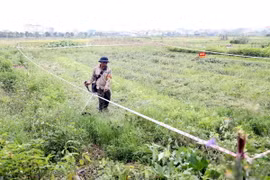 Thực hiện thu hồi đất để triển khai xây dựng điểm dân cư mới. (Ảnh: Mạnh Tú/TTXVN)