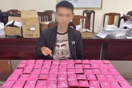 Đối tượng Trần Thượng Nhật cùng tang vật. (Ảnh TTXVN phát)