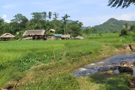 Khu đất được chính quyền địa phương chọn để tái định cư cho người dân thôn Làng Nủ, xã Phúc Khánh, huyện Bảo Yên, tỉnh Lào Cai. (Ảnh: Hồng Ninh/TTXVN)
