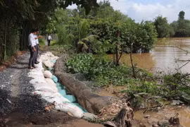 Đoạn sạt lở nghiêm trọng phía bờ Tây sông Cái Lân ở ấp 4, xã Tân Thanh, huyện Cái Bè, tỉnh Tiền Giang. (Ảnh: Minh Trí/TTXVN)
