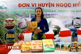 Phụ nữ Cà Mau năng động, sáng tạo phát triển kinh tế. (Ảnh: TTXVN)