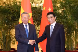 Tổng Bí thư, Chủ tịch nước Tô Lâm hội kiến Chủ tịch Chính hiệp Toàn quốc Trung Quốc Vương Hộ Ninh. (Ảnh: Trí Dũng/TTXVN)