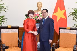 Bộ trưởng Ngoại giao Bùi Thanh Sơn tiếp bà Simona-Mirela Miculescu, Chủ tịch Đại hội đồng UNESCO. (Ảnh: TTXVN phát)