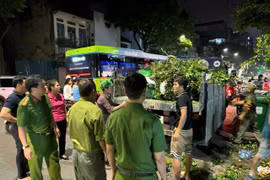 Với gần 40 cây đổ gãy trên địa bàn, các lực lượng chức năng, chính quyền phường Phạm Đình Hổ (quận Hai Bà Trưng, Hà Nội) đã khẩn trương thu dọn, giải tỏa, đảm bảo giao thông trên các trục đường chính, khu vực trung tâm thông suốt. (Ảnh: Minh Nghĩa/Vietnam+)