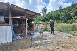 Người dân Bắc Kạn rắc vôi khử trùng ổ dịch. (Ảnh: TTXVN phát)