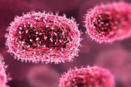 Hiện hiểu biết về căn bệnh do virus Chandipupra gây ra vẫn ít. (Nguồn: Business Today)