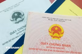 Ảnh minh họa. (Nguồn: Vietnam+)