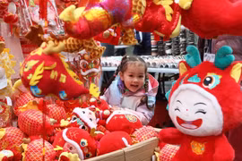Em nhỏ thích thú với những đồ chơi trang trí đón Tết Nguyên đán của người châu Á tại San Francisco, California, Mỹ. (Ảnh: THX/TTXVN)