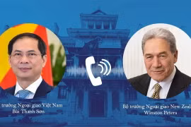 Bộ trưởng Ngoại giao Bùi Thanh Sơn điện đàm với Phó Thủ tướng, Bộ trưởng Ngoại giao New Zealand Winston Peters. (Ảnh: TTXVN)