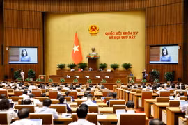 Bộ trưởng Bộ Y tế Đào Hồng Lan, thừa ủy quyền của Thủ tướng Chính phủ trình bày Tờ trình về dự án Luật sửa đổi, bổ sung một số điều của Luật Dược. (Ảnh: Doãn Tấn/TTXVN)