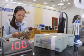 Ảnh minh họa. (Nguồn: TTXVN)