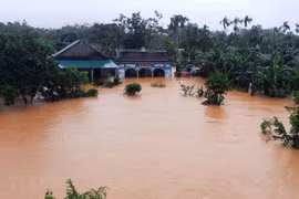 Ảnh minh họa. (Nguồn ảnh: Hồ Cầu/TTXVN)