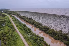 Xâm thực biển, sạt lở sông đe dọa nghiêm trọng Đồng bằng sông Cửu Long. (Ảnh: Trọng Đạt/TTXVN)