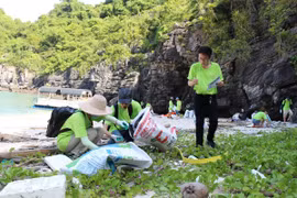 Các nhóm tình nguyện viên chung tay dọn rác trên các đảo Vịnh Hạ Long. (Ảnh: Hùng Võ/Vietnam+)
