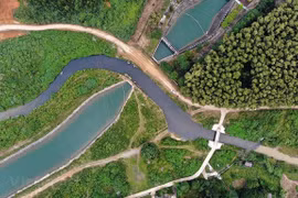 Ảnh chỉ có tính chất minh họa. (Nguồn ảnh: PV/Vietnam+)