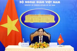 Bộ trưởng Bộ Ngoại giao Bùi Thanh Sơn tham dự Hội nghị Quan hệ đối tác Mekong-Mỹ (MUSP) lần thứ hai theo hình thức trực tuyến. (Ảnh: Phạm Kiên - TTXVN)