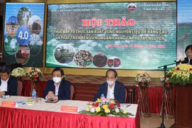 Hội thảo "Thúc đẩy tổ chức sản xuất vùng nguyên liệu để nâng cao và phát triển bền vững ngành Càphê Tây Nguyên". (Ảnh: Hồng Điệp/TTXVN)