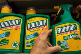 Thuốc diệt cỏ Roundup của Công ty hóa chất Mỹ Monsanto được bày bán tại một cửa hàng ở Lille, Pháp. (Ảnh: AFP/TTXVN)