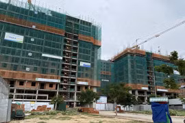 Ảnh minh họa. (Nguồn: TTXVN)
