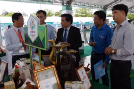 Các gian hàng trưng bày giới thiệu sản phẩm khởi nghiệp tại Ngày hội khởi nghiệp sáng tạo tỉnh Quảng Nam lần thứ II. (Ảnh: Trần Tĩnh/TTXVN)