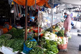Lắp tấm chắn giọt bắn trước quầy bán hàng tại chợ Thanh Sơn (phường Thanh Sơn, thành phố Phan Rang-Tháp Chàm) để phòng, chống dịch COVID-19. (Ảnh: Nguyễn Thành/TTXVN)