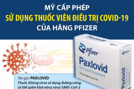 Mỹ cấp phép sử dụng thuốc viên điều trị COVID-19 của hãng Pfizer