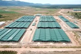 Trang trại chăn nuôi bò không phép của Công ty TNHH Một thành viên Chăn nuôi bò Trung Nguyên trên diện tích thuộc quy hoạch 3 loại rừng thuộc xã Ia Puch. (Ảnh: Quang Thái/TTXVN)
