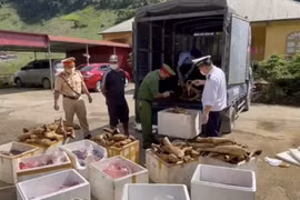 Lực lượng chức năng phát hiện hơn 1 tấn sản phẩm động vật không rõ nguồn gốc, đã bốc mùi hôi thối. (Ảnh: Công an Sơn La)