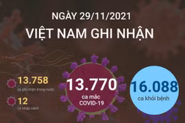 [Infographics] Ngày 29/11 Việt Nam ghi nhận 13.770 ca mắc COVID-19